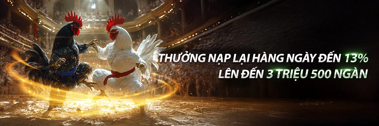 Đá Gà Trực Tuyến Hấp Dẫn tại Momo Slot