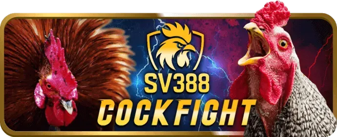 Hỗ trợ kỹ thuật momo slot nhanh chóng