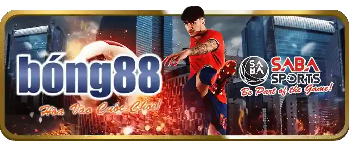Giải đáp thắc mắc về momo slot